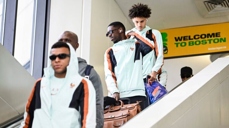 An approachable World Cup guide: France